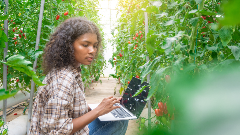 Diferença entre Técnico Agrícola e Técnico em Agronegócio