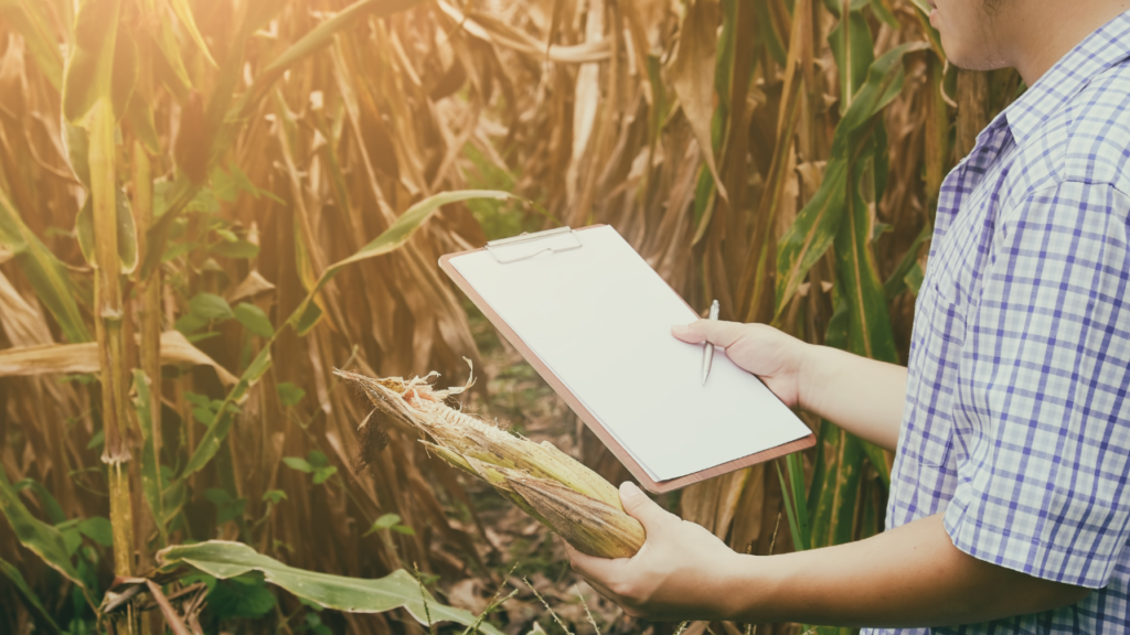 Diferença entre Técnico Agrícola e Técnico em Agronegócio