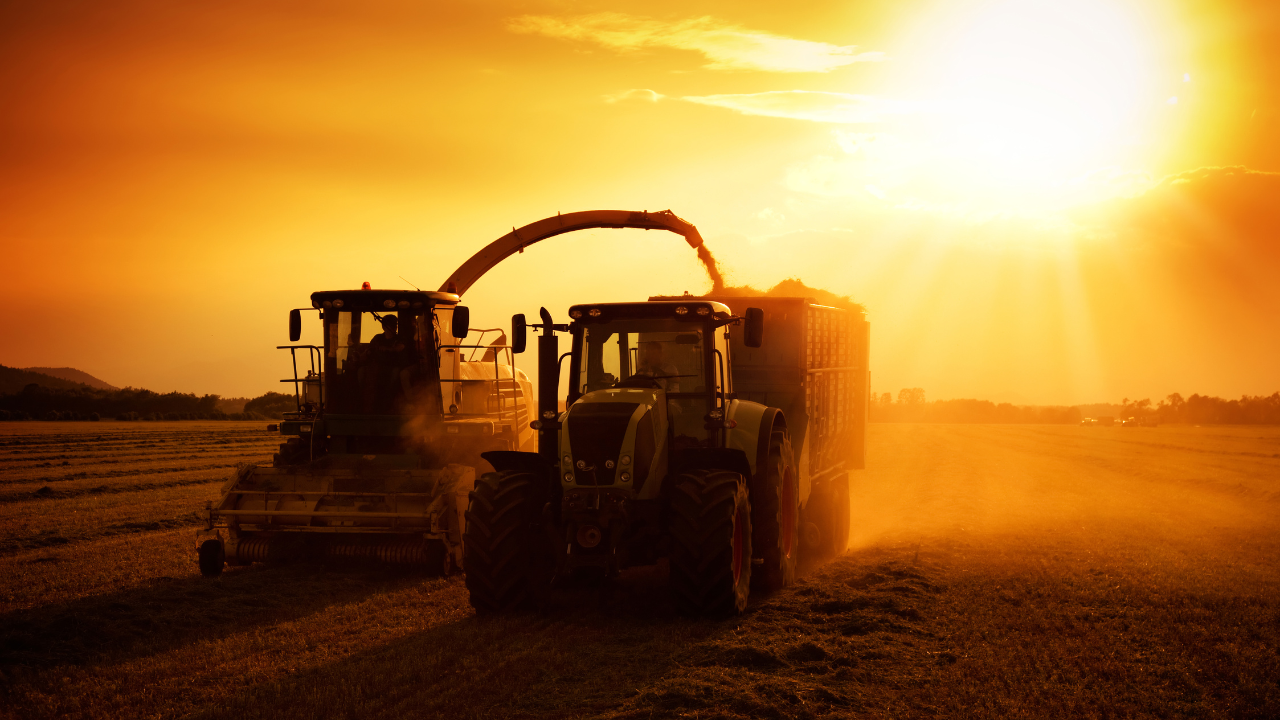 Engenharia Agronômica ou Engenharia Agrícola