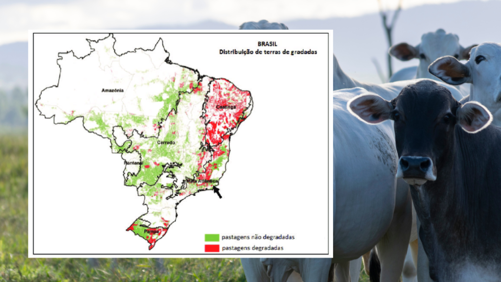 Gráfico 1: Distribuição Regional das Pastagens Degradadas no Brasil