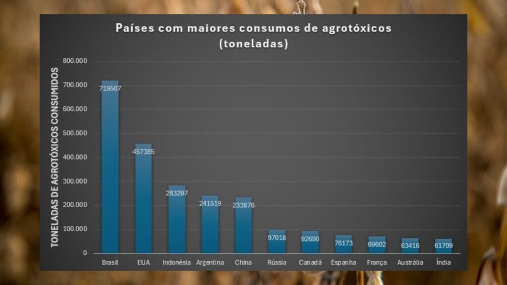 Pragas na Cultura de Soja