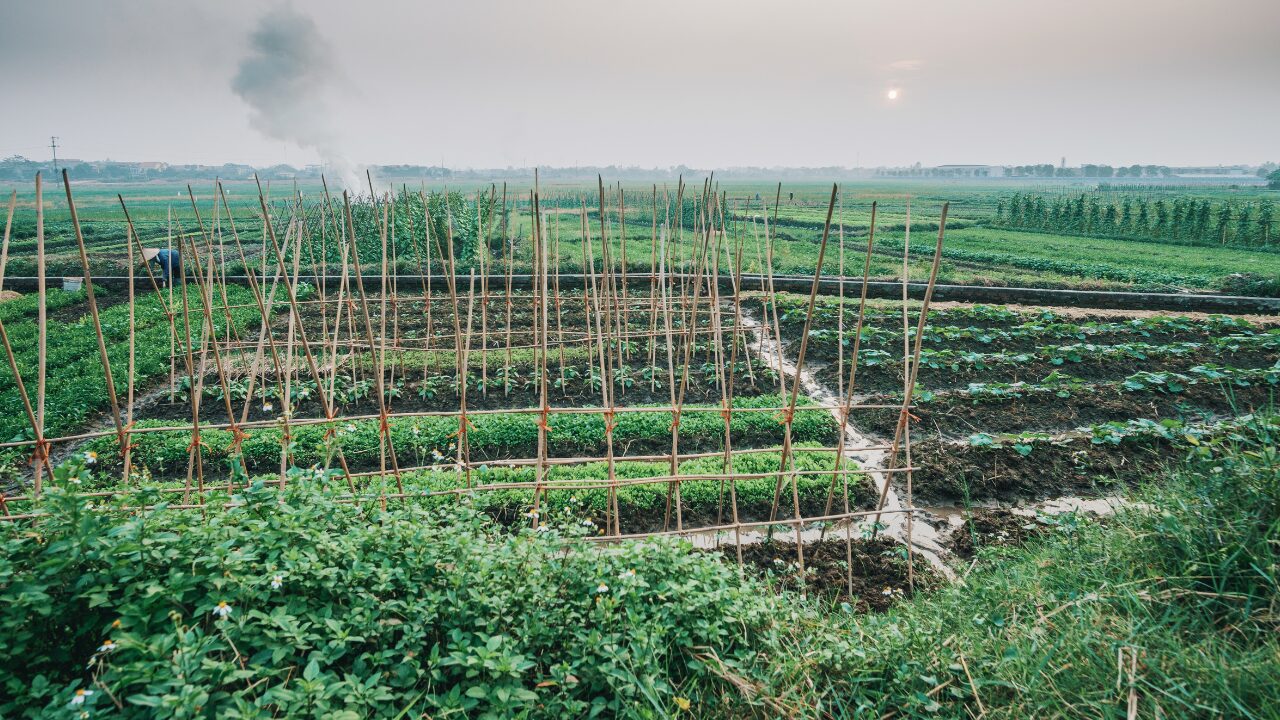 O Que É Agroecologia?