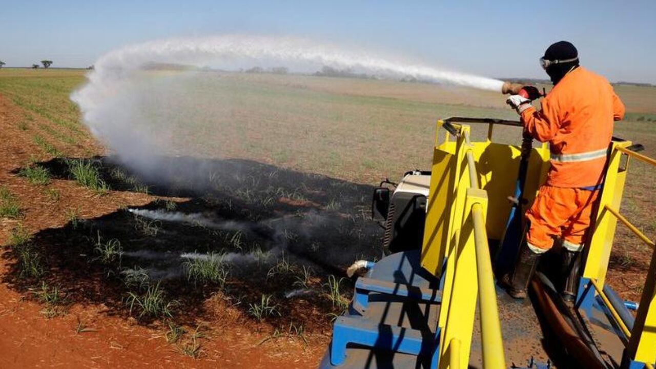 Queimadas Devem Gera Quebra de 10 a 20% na Safra de Cana-de-Açúcar