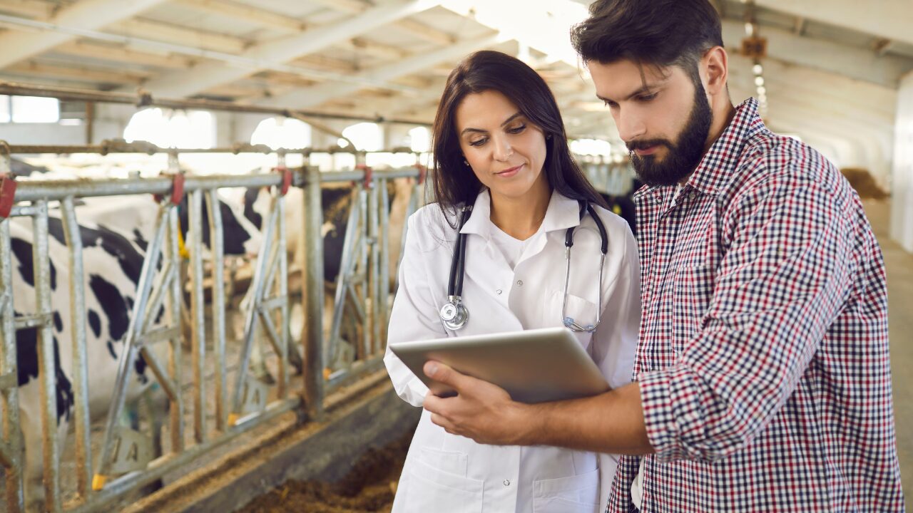 Diferenças entre Zootecnia e Medicina Veterinária