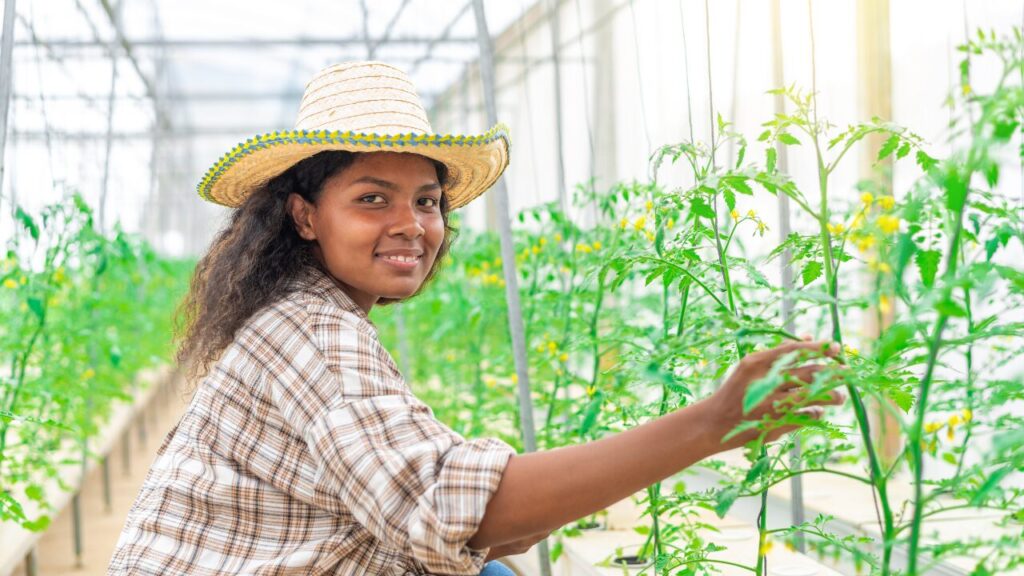 Os cursos técnicos oferecidos pelo SENAR são voltados para áreas estratégicas do setor agropecuário, como **Agropecuária, Agronegócio, Zootecnia** e **Fruticultura**. Reconhecidos pelo Ministério da Educação (MEC), esses cursos combinam **ensino a distância (EAD)** com atividades práticas presenciais, garantindo uma formação de alta qualidade e alinhada às necessidades do mercado. Com duração média de dois anos, eles oferecem aos alunos um diploma válido em todo o território nacional, permitindo uma entrada qualificada no mercado de trabalho ou a continuidade dos estudos.