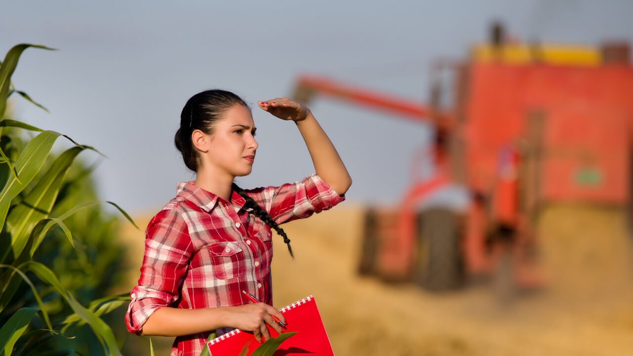 Carreiras no Agronegócio: Guia Completo de Formação e Possibilidades