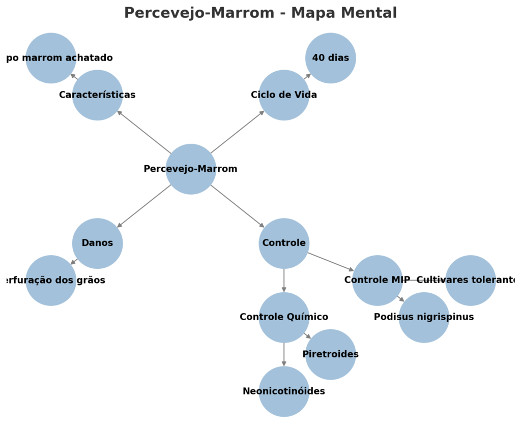 Percevejo-Marrom (Euschistus heros)