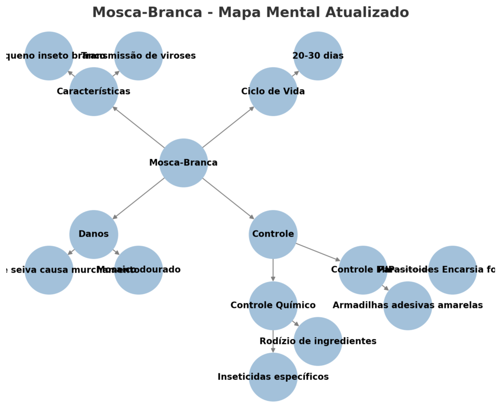 Mosca-Branca (Bemisia tabaci)