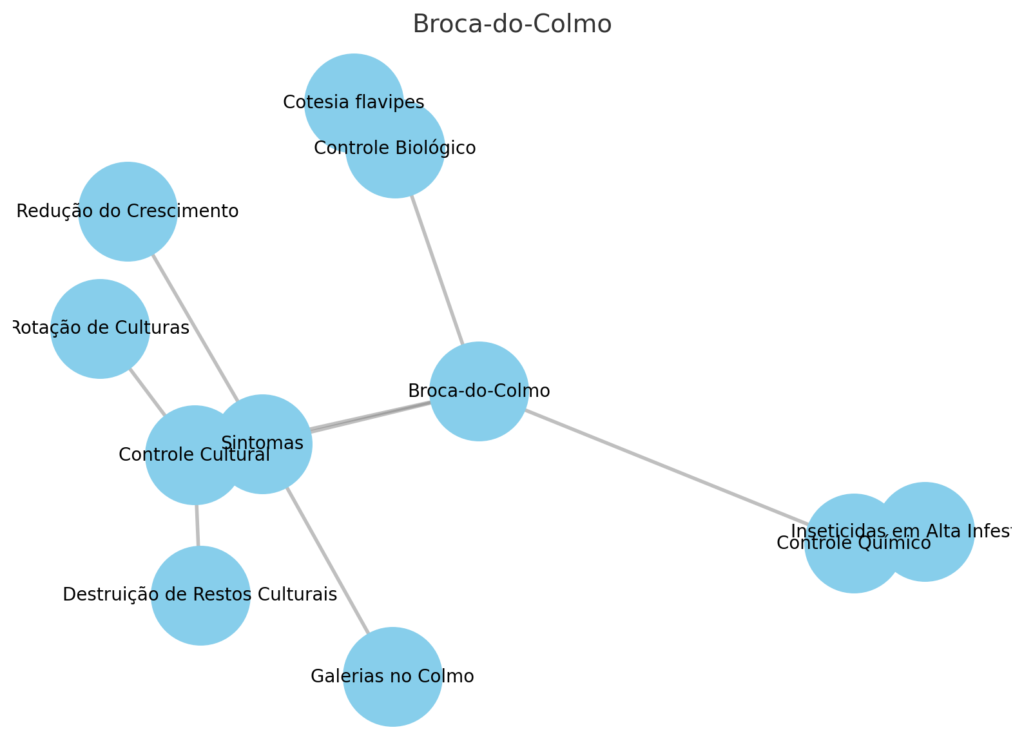 2. Broca-do-Colmo (Diatraea saccharalis)