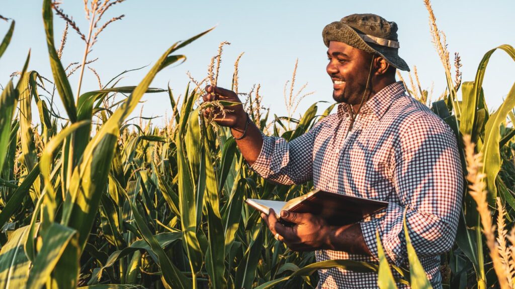 Modalidades de Técnico Agrícola Contempladas Pelo CFTA