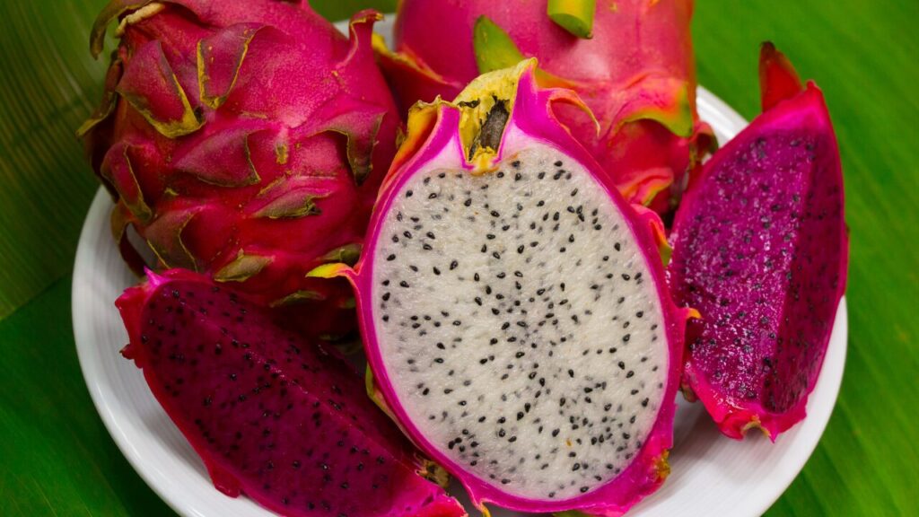 Como Cultivar Pitaya Corretamente: Guia Completo para uma Colheita de Sucesso