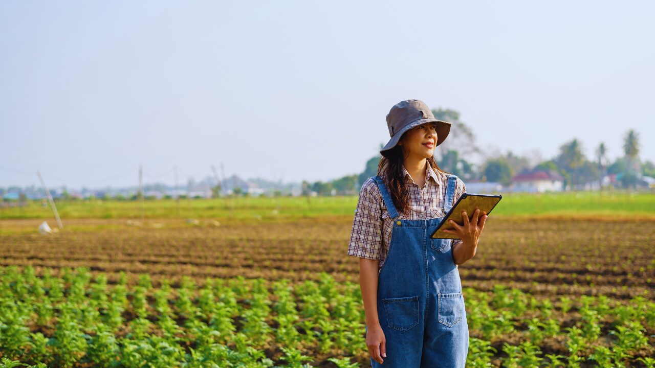 Capacitação e Educação no Agronegócio