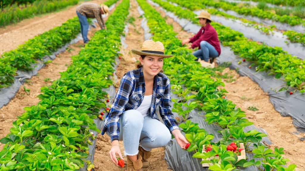 Capacitação e Educação no Agronegócio